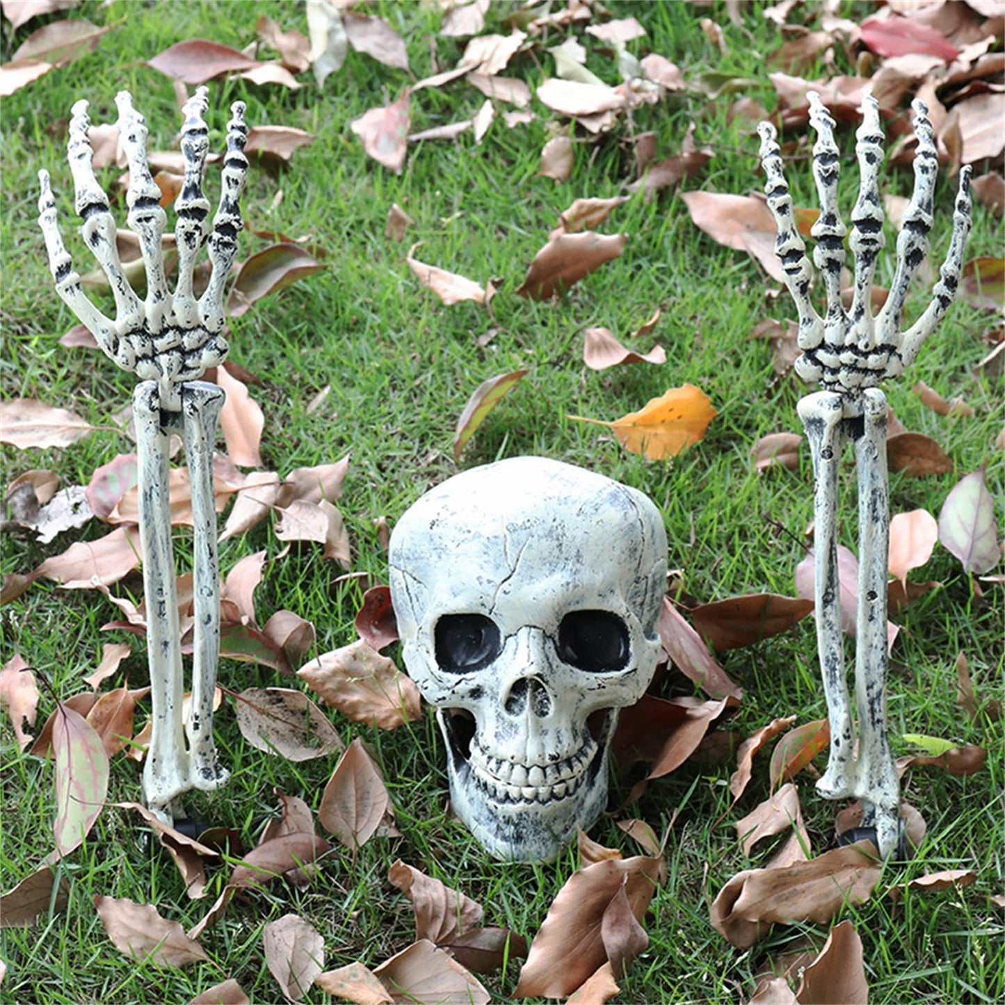 SKELETON IN THE GROUND STAKES