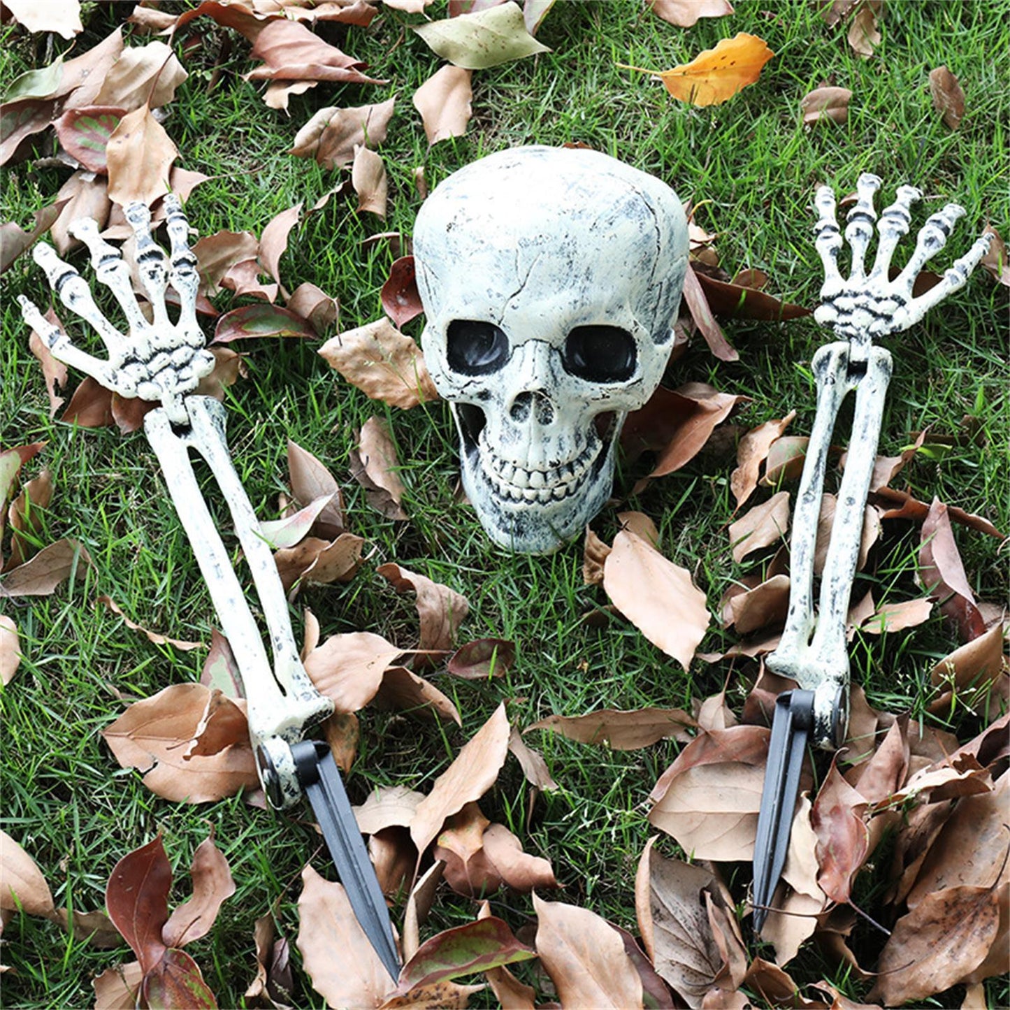 SKELETON IN THE GROUND STAKES