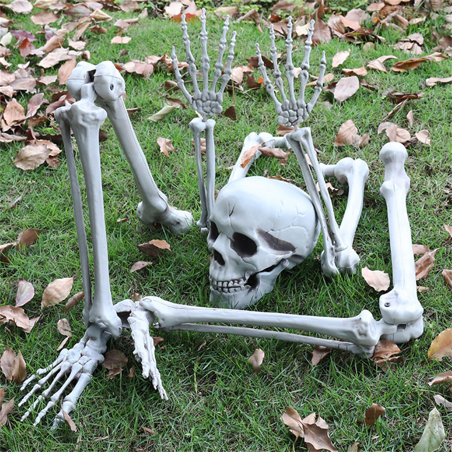 SKELETON IN THE GROUND STAKES